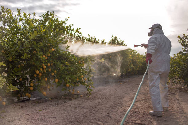 Best Local Pest Control Services  in Armona, CA